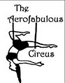 The Acrofabulous Circus LLC image 7