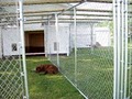 The Country Pet Resort image 1