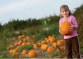 The Pumpkin Patch image 7
