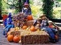 The Pumpkin Patch image 8