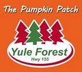 The Pumpkin Patch logo