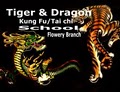 Tiger and Dragon Kung Fu School logo