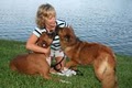 Tina's Puppy Love: Dog Walker, Pet Sitter, Cageless Boarding image 2