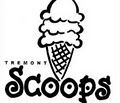 Tremont Scoops image 1