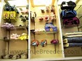 True Breeders of Connecticut LLC image 7