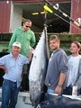 Tuna Hunter Charters image 3