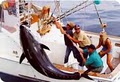 Tuna Hunter Charters image 7
