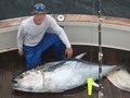 Tuna Hunter Charters image 1