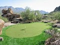 Turf Direct - Arizona Artificial Grass & Synthetic Greens image 2