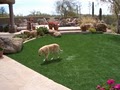 Turf Direct - Arizona Artificial Grass & Synthetic Greens image 3