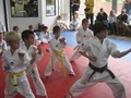 USA Freestyle Martial Arts image 4