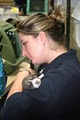 VCA South Shore (Weymouth) Animal Hospital image 3