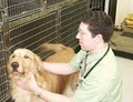 Vienna Animal Hospital image 3