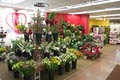 Visser's Florist & Greenhouses Inc image 3