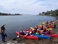 Watertreks Eco-Tours And Jenner Kayak Rentals image 3