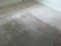 Wiltek Carpet Cleaning, Inc. image 2
