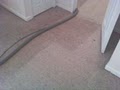 Wiltek Carpet Cleaning, Inc. image 5