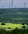 Windmill Game Ranch image 4