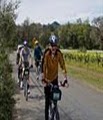 Wine Country Bikes image 3
