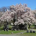 Woodlawn Cemetery image 2