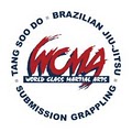 World Class Martial Arts image 1