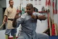 Wushu Shaolin Kung Fu image 8