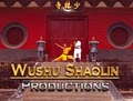 Wushu Shaolin Kung Fu logo