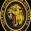 Yellow Tigers Inc logo