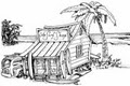 little surf shop logo