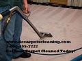 www.dccarpetscleaning.com logo