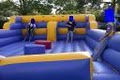 A Bouncy Bear Bounce House and Party Supply Rental image 10