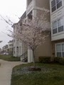 Ashborough Apartments image 6