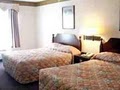 Best Western Canton Inn image 10