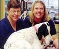 Beverly Hills Veterinary Associates image 4