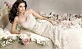 Bridal Dress Alterations image 5