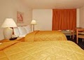 Comfort Inn North image 8