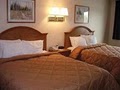 Comfort Inn image 10