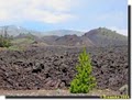 Craters of the Moon National Monument image 6