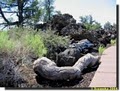 Craters of the Moon National Monument image 10