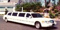 Digitz Limousine Services logo