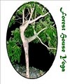 Forest House Yoga logo