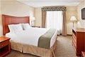 Holiday Inn Express Hotel & Suites Auburn Hills image 2