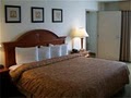 Holiday Inn Hotel and  Suites Runnemede-Philadelphia image 4