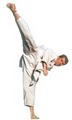 International Karate & Fitness Center- Kickboxing in Forest Hills, NY logo