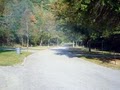 Jenny Wiley State Park image 6