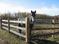 Litchfield Hills Fence image 5