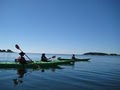 Maine Kayak image 2
