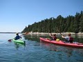 Maine Kayak image 3
