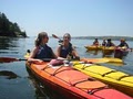 Maine Kayak image 4