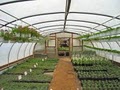 Milburt Farm & Greenhouse image 2